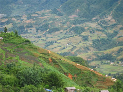176 Rice terraces in the valley.jpg